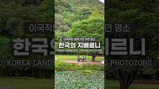 한국의 지베르니라고 불리는 숨은 여행지🌿 [upl. by Janella]