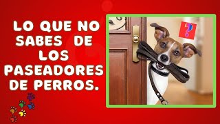 LO que NO sabes DE los PASEADORES de PERROS [upl. by Idieh]