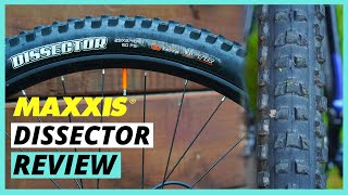 The Best Do It All Mountain Bike Tire  Maxxis Dissector Review [upl. by Dylan]