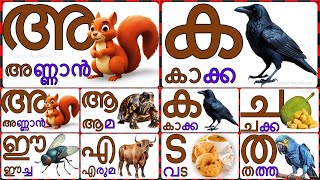 Malayalam swaraksharangal vyanjana aksharangal അ ആ ഇ Malayalam vowels And consonants [upl. by Zilef328]