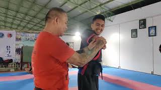 Hapkido master training selfdefense kicks fight punch moving techniques 02 [upl. by Yenettirb]