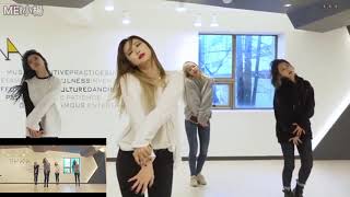 EXID交換DDDPart之毀壞歌曲版  EXID members exchange roles in DDD and make fun of one another [upl. by Quartas965]