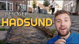 BESØGER HADSUND FOR EN STUND [upl. by Consolata931]