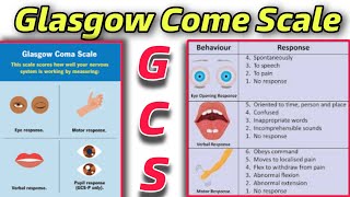 GCS  Understanding Glasgow Coma Scale A Comprehensive Guidequot  Tutor Hanif khan [upl. by Anatnahs]