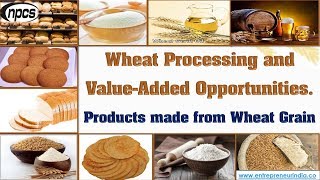 Wheat Processing and ValueAdded Opportunities  Products made from Wheat Grain [upl. by Bee904]