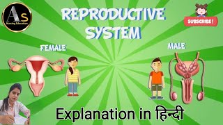 reproductive system anatomy amp physiology l Menstrual cycle l reproductive system of male amp female [upl. by Hannie]