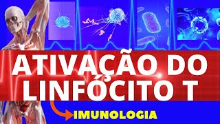 ATIVAÇÃO DE LINFÓCITOS T ENSINO SUPERIOR  IMUNOLOGIA  SISTEMA IMUNOLÓGICO [upl. by Leigha948]