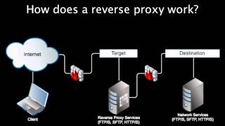 Introducing Reverse Proxy Servers [upl. by Nyvlem]