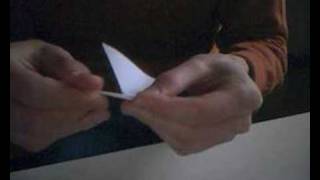 Origami cigno [upl. by Johnath]