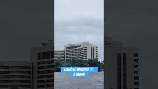 AL FIN LLEGÓ EL “FRÍO” A MIAMI 🥶 shorts miami invierno [upl. by Evilo]