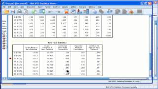 Cronbachs Alpha  SPSS part 2 [upl. by Van]