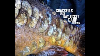 Shackells Lake  Day Ticket Carp Fishing [upl. by Lean]