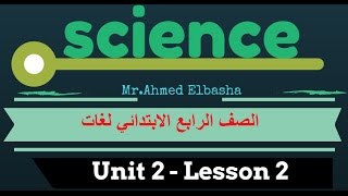 ساينس لغات Unit 2  lesson 2  Part 1  The movement of the sun and the earth  Grade 4 [upl. by Darnok]