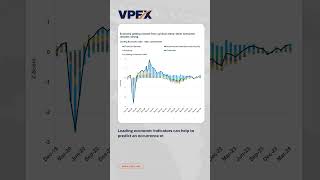 Leading Economic Indicators [upl. by Dnomzed201]