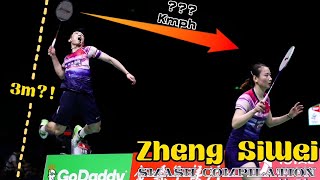 Zheng SiWei  The King of Badminton Mixed Doubles  Machine Gun Smash HD [upl. by Tymon]