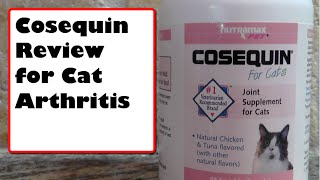 COSEQUIN REVIEW FOR CAT ARTHRITIS [upl. by Clellan]