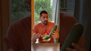 Comment conserver les courgettes du potager [upl. by Casteel]