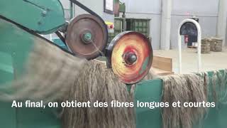 Visite de lunite de teillage Van Robaeys Freres de Fortel en Artois [upl. by Carin]