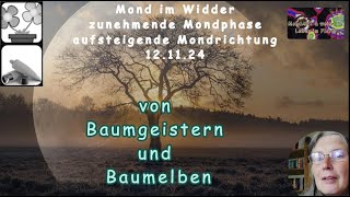 Mond Geflüster von Baumgeistern und Baumelben [upl. by Adikam606]