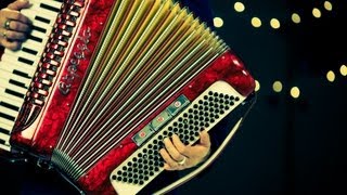 Introduction to the Accordion  Accordion Lessons [upl. by Davine]