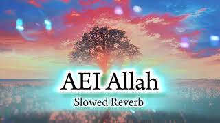 Aei Allah Slowed  Reverb viralvideo slowedandreverb song youtubeshorts music popular youtube [upl. by Harad494]