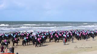 Mega strandrit met Friese paarden 2023 [upl. by Castra]