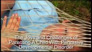 PDDNOSPervasive Developmental Disorder Support For Parents of Kids with PDDNOS [upl. by Ahsienar]