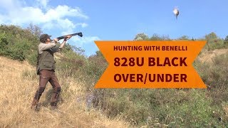 Hunting with Benelli 828U Black overunder shotgun field test [upl. by Aritak84]