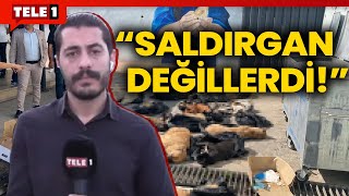 AKPli Gebze Belediyesindeki katliamda tüm hayvanlar tahliye edildi Umut Taştan aktardı [upl. by Sager253]