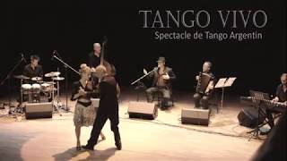 TANGO VIVO SPECTACLE TANGO ARGENTIN FRANCE LILLE HAUTS DE FRANCE NORD [upl. by Ayokal]