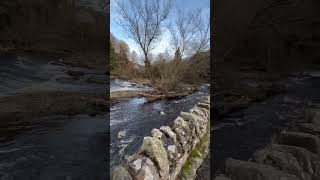 Water of Leith Edinburgh Scotland [upl. by Ariam]