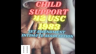 Child Support 101 1st Amendment Intimate Association Prosecutorial Immunity42usc 1983 Preview [upl. by Jannelle]