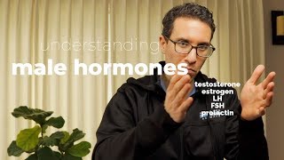 Doctor explains How to Understand Male Hormones and Fertility [upl. by Afatsum50]