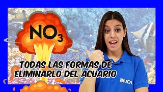 Nitratos en el acuario Como eliminarlos o reducirlos [upl. by Darda]