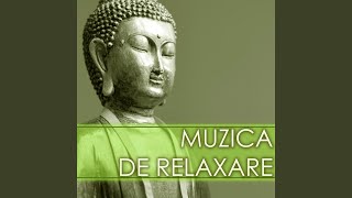 Muzica de Meditatie [upl. by Nyrrad]