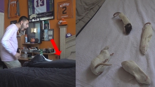 DEAD RATS IN MY BROTHERS BED PRANK DISGUSTING  FaZe Rug [upl. by Nor588]