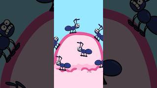 Eek The Ants are Everywhere – Hooray Kids Songs shorts kidssong animals ants [upl. by Eidorb]