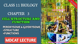 PEROXYSOME  GLYOXYSOME  11 NEW BIOLOGY BOOK SINDH BOARD MDCAT2023 MDCAT2024  CELL BIOLOGY [upl. by Serge]