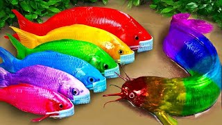 Cartoon Stop Motion ASMR  Believe This Fishing Big Red fish Carp eel videos Mudfish Cooking [upl. by Nawyt769]