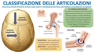 CLASSIFICAZIONE DELLE ARTICOLAZIONI [upl. by Nnaeirelav]