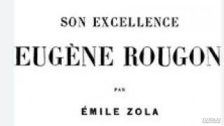 9 Emile Zola Son excellence Eugène Rougon livre audio partie 9 sur 13 [upl. by Bax]