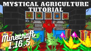 Mystical Agriculture Tutorial  Minecraft 1165 [upl. by Adihaj]