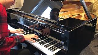 GrotrianSteinweg G225 2012 Chopin Op 9 No 2 [upl. by Zeus]