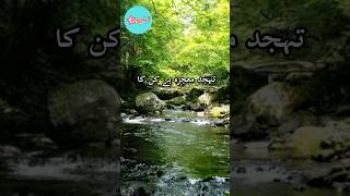 Ishiq ki namaz wo hote hai viralvideo guidance [upl. by Marquez]