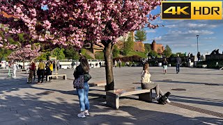 🇵🇱 Poland Spring Walk  Krakow Walking Tour  European Bloom 🌸 4K HDR [upl. by Phedra477]