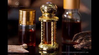 The Special Magic of Agarwood amp Oud Oil [upl. by Yun]