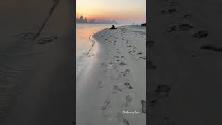 Saadiyat Beach😍🇦🇪 saadiyat saadiyatisland abudhabi uae shorts [upl. by Norina992]