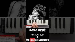 KARA KEDİ Melodika Notaları [upl. by Lefton]