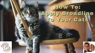 How to Apply Broadline to your Cat [upl. by Zellner]