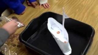 Paper Boats Science Experiment [upl. by Rector470]